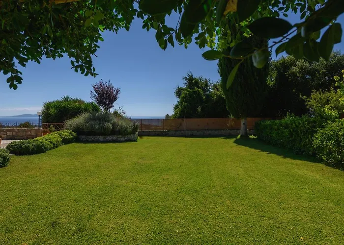 Vivian's Endless View