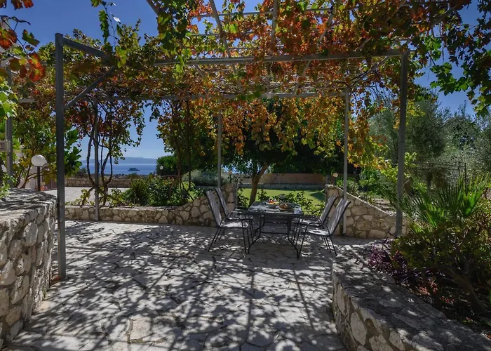 Vivian's Endless View *